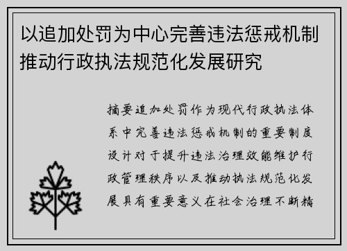 以追加处罚为中心完善违法惩戒机制推动行政执法规范化发展研究